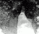 gameboy camera gif animation