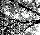 gameboy camera gif animation