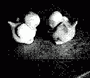 gameboy camera gif animation