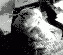gameboy camera gif animation
