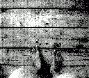gameboy camera gif animation