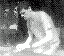 gameboy camera gif animation