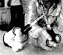 gameboy camera gif animation