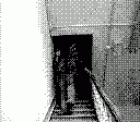 gameboy camera gif animation
