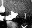 gameboy camera gif animation