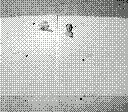 gameboy camera gif animation