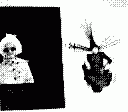 gameboy camera gif animation
