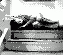 gameboy camera gif animation