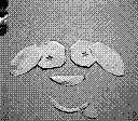 gameboy camera gif animation