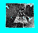 gameboy camera gif animation