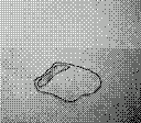 gameboy camera gif animation