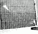 gameboy camera gif animation