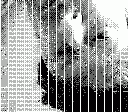 Circuitbent Gameboy Camera animated GIF